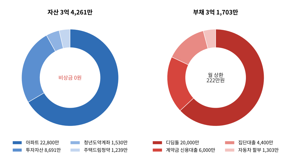 자산 구성과 부채 구성 원형그래프, 비상금 0원과 월 상환 222만원